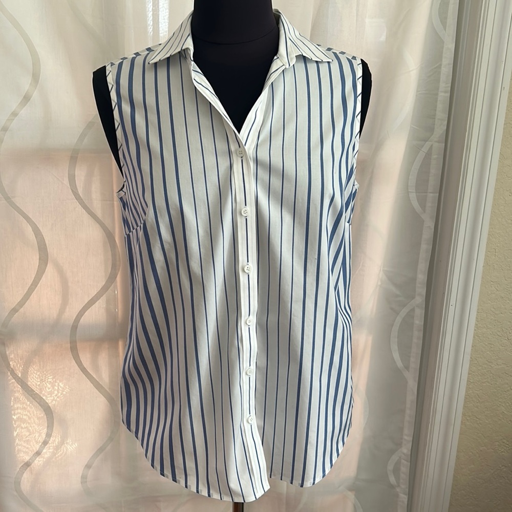 Talbots, Fitted, Sleeveless, Blue & White Striped, Button Down Blouse, Size 6
